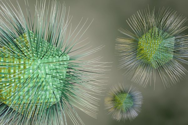 Scientists discover new giant “stealthy” virus that replicates in a completely unique way