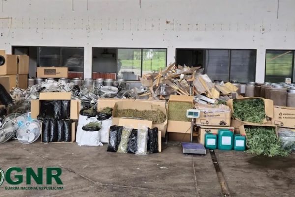 Group of Chinese detained. Used bakery as drug production laboratory