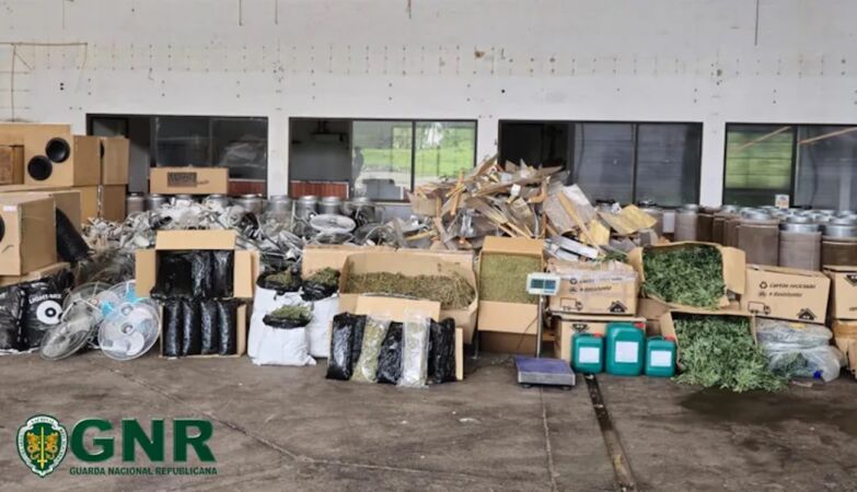 Group of Chinese detained. Used bakery as drug production laboratory
