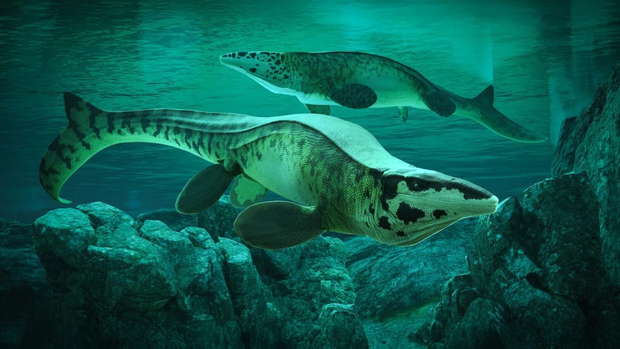 After all, T. rex wasn't the king of the dinosaurs