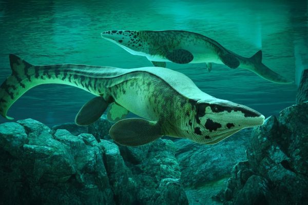 After all, T. rex wasn't the king of the dinosaurs