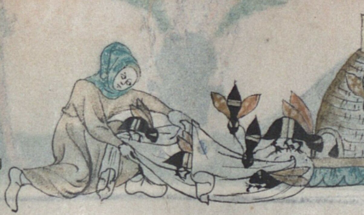Flour, robberies, compensation for bites. Medieval Ireland's Strange Bee Laws