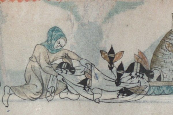 Flour, robberies, compensation for bites. Medieval Ireland's Strange Bee Laws