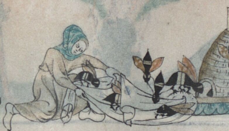 Flour, robberies, compensation for bites. Medieval Ireland's Strange Bee Laws