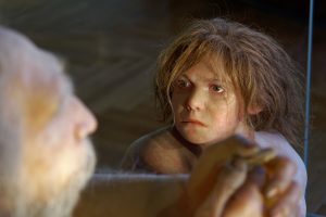 Lack of socialization may have extinguished Neanderthals (who did better in the Iberian Peninsula)