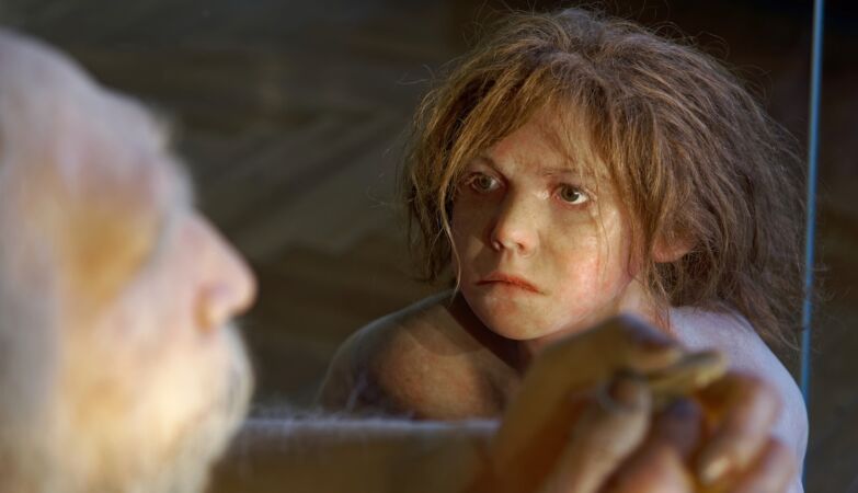 Lack of socialization may have extinguished Neanderthals (who did better in the Iberian Peninsula)