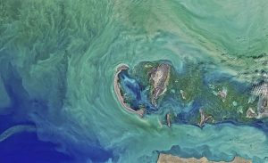 Why the Caspian Sea became so important in both the wars in Ukraine and Iran