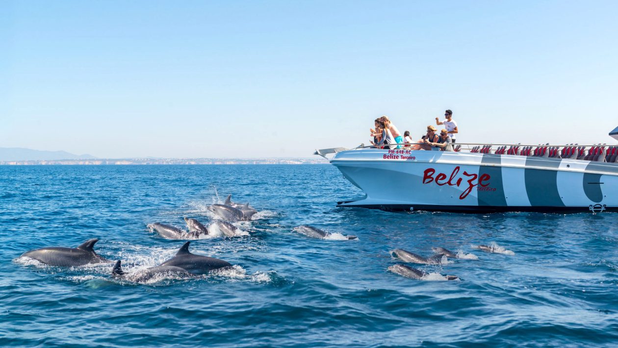 X Ride becomes part of the AlgarExperience group
