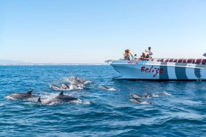 X Ride becomes part of the AlgarExperience group