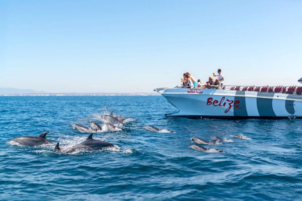 X Ride becomes part of the AlgarExperience group