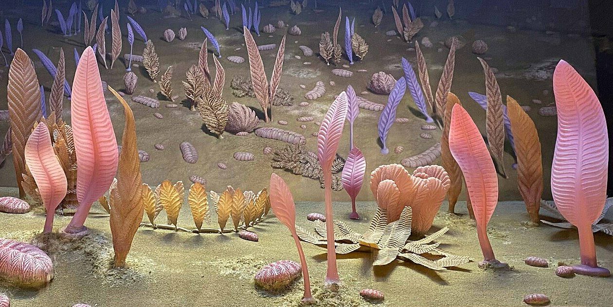 Sex is up to 10 million years older than we thought