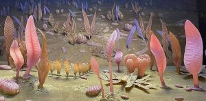 Sex is up to 10 million years older than we thought