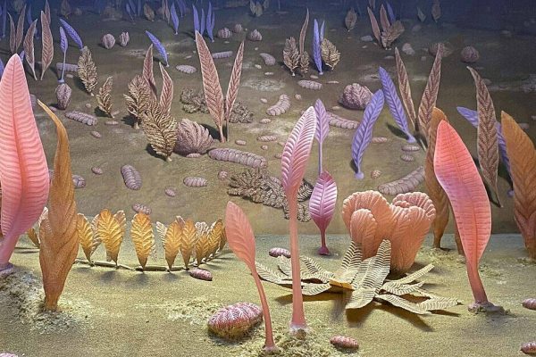 Sex is up to 10 million years older than we thought