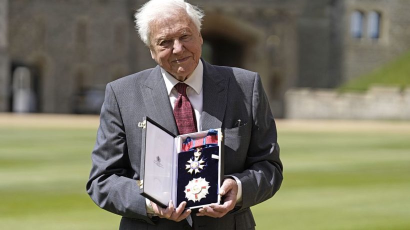 David Attenborough: The 'voice of nature' turns 100 years old