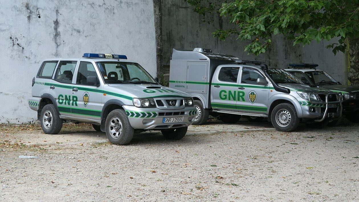 Two children found alone next to the road in Alcácer
