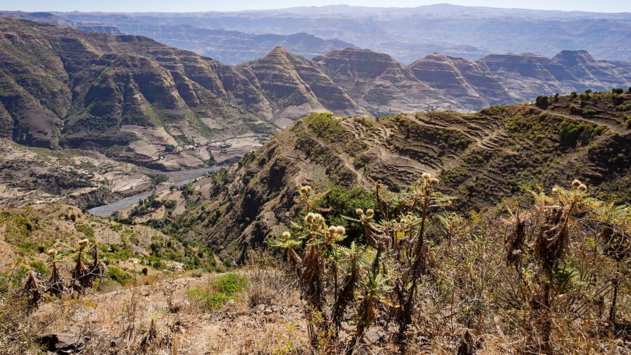 Africa is splitting in half and will form an ocean faster than we thought