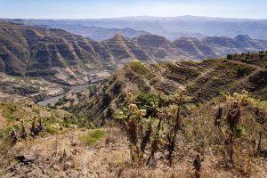 Africa is splitting in half and will form an ocean faster than we thought