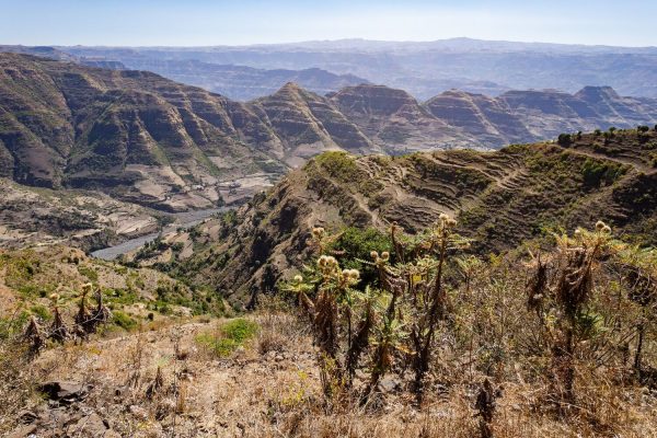 Africa is splitting in half and will form an ocean faster than we thought