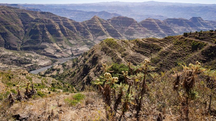 Africa is splitting in half and will form an ocean faster than we thought