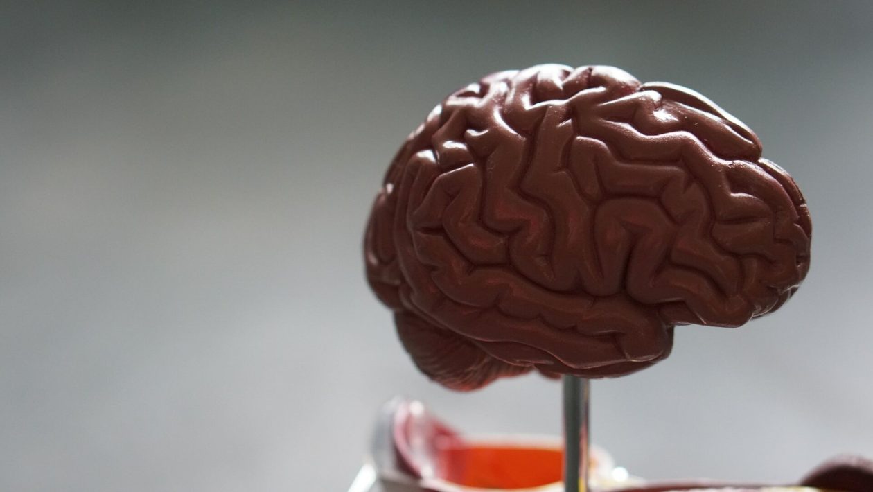 Healthy brain: the 5 habits of a neurologist