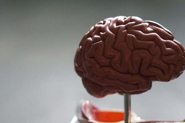 Healthy brain: the 5 habits of a neurologist