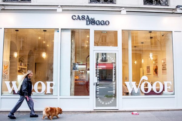 The new trend in Paris: gourmet pastries for dogs