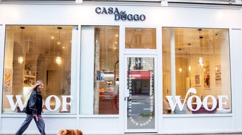 The new trend in Paris: gourmet pastries for dogs