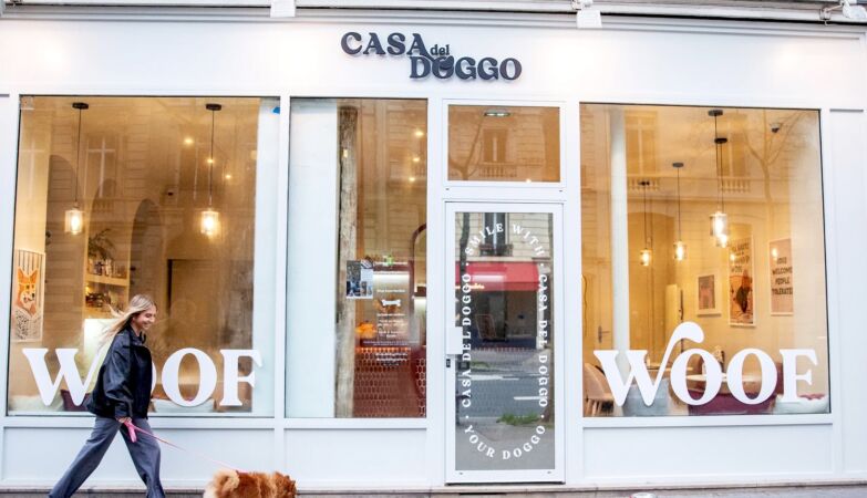 The new trend in Paris: gourmet pastries for dogs