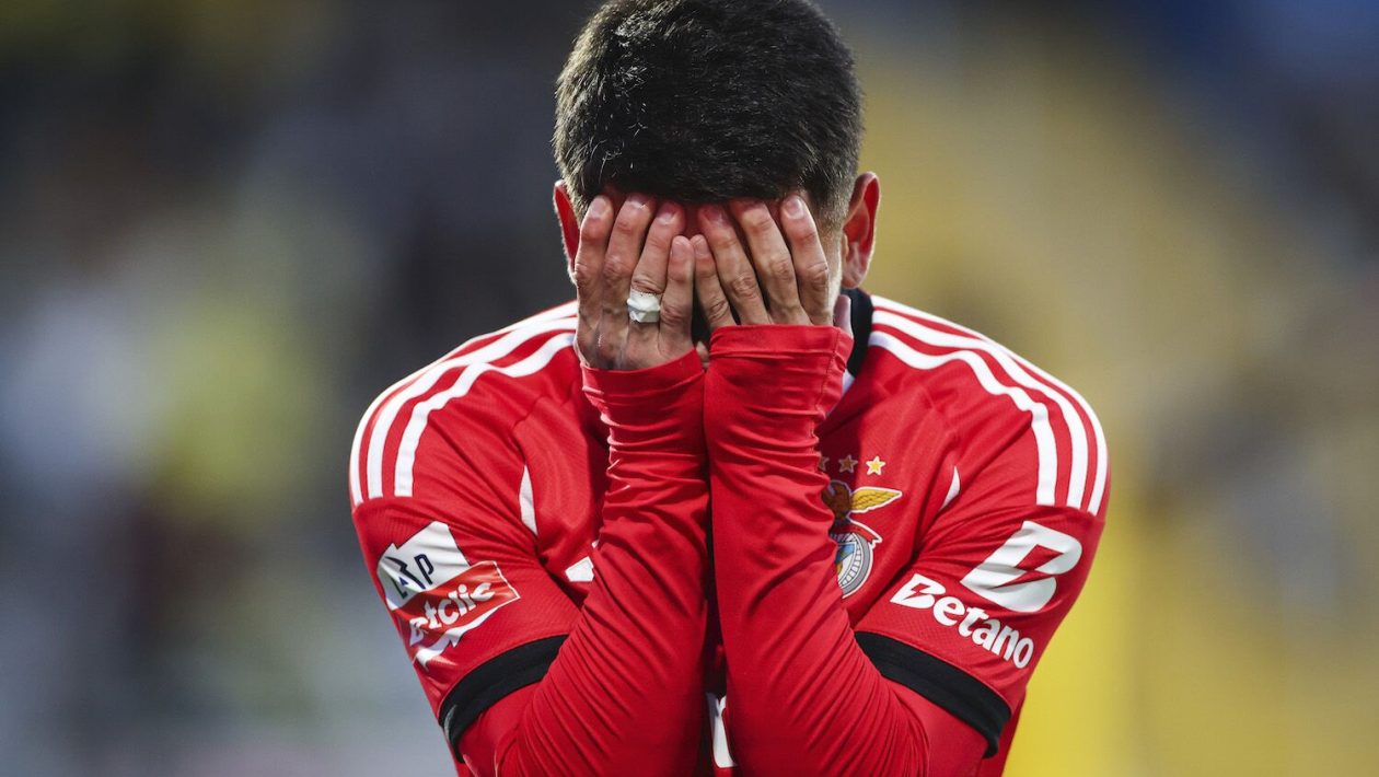 Benfica did what had never been done in Europe: undefeated, 3rd place and an encore without a title