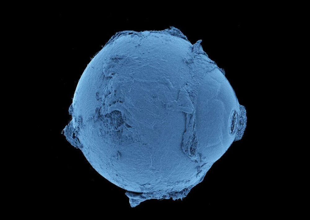 Created map of the human body that reveals structures never seen before