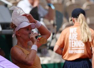 Heatwave in France: Unprecedented heat "broke" records in a few days
