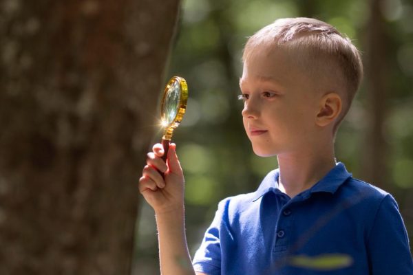 Parenting How to recognize perfectionism in a child? Find out how to help him deal with the pressure of being the best