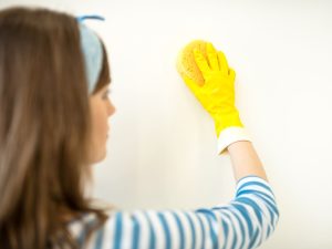 Household cleaning Spray this on the walls and the dust will stop accumulating on them. No stains, stains or inhaled mites. How to get rid of dust from walls?