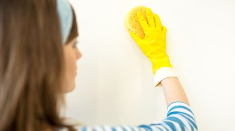 Household cleaning Spray this on the walls and the dust will stop accumulating on them. No stains, stains or inhaled mites. How to get rid of dust from walls?