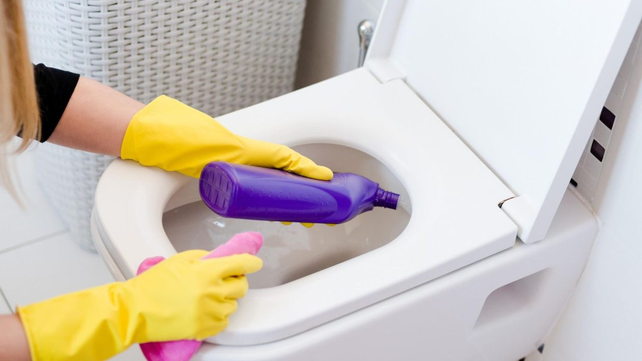 Cleaning the toilet A German plumber told us how to clean the toilet bowl so that it stops smelling. Even in hot weather, the toilet smells clean and no limescale accumulates in it