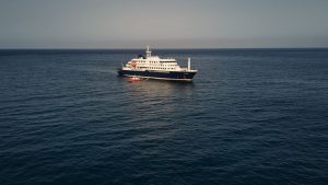 WHO: Five confirmed cases of hantavirus on MV Hondius cruise ship