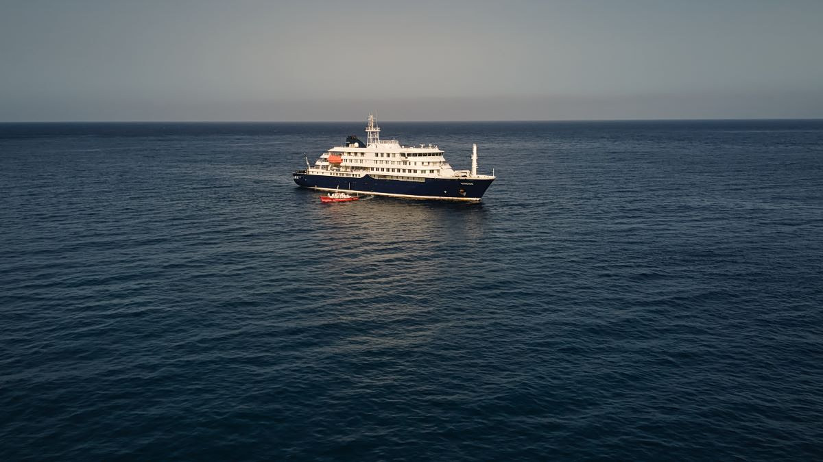 WHO: Five confirmed cases of hantavirus on MV Hondius cruise ship
