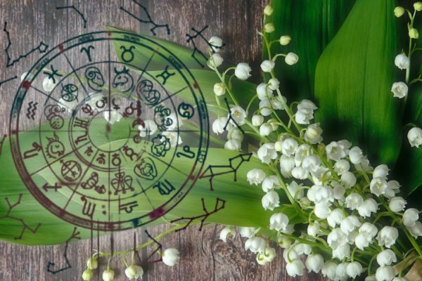 3 lucky signs until the end of May. Natives who have success on all levels
