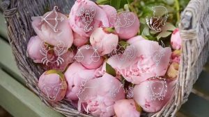 The horoscope of the last weekend of the month brings good news for the zodiac signs. The natives who will shine at the end of May