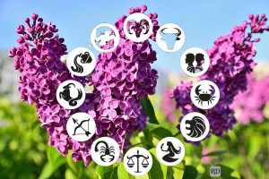 Horoscope May 3, 2026. Natives show a greater desire for freedom and authenticity. Many will feel the need to push their limits and give up habits that no longer serve them well