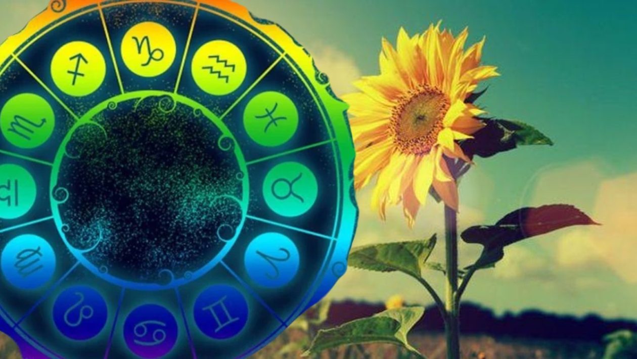 Horoscope May 8, 2026: Remember the proverb "The mills of the gods grind rarely, but extremely fine!"