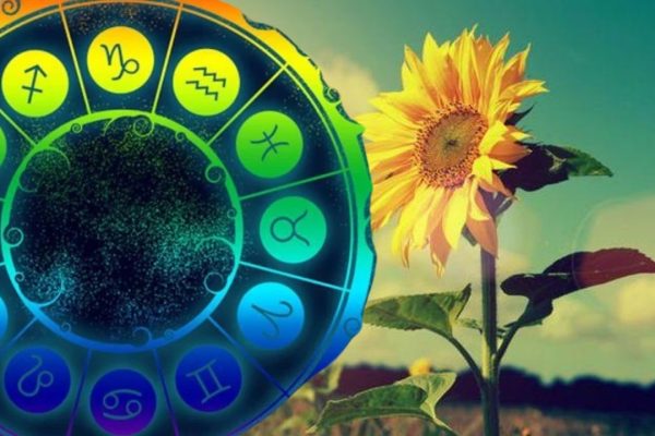 Horoscope May 8, 2026: Remember the proverb "The mills of the gods grind rarely, but extremely fine!"