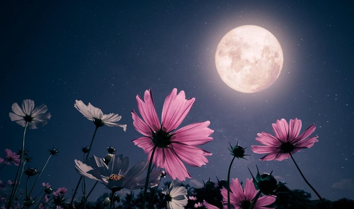 Two Full Moons, double financial chances in May 2026. See what the money horoscope says for your sign!