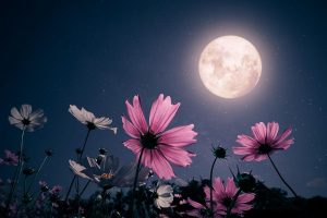 Two Full Moons, double financial chances in May 2026. See what the money horoscope says for your sign!