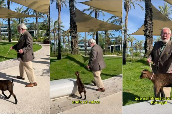 Isaltino Morais appears with a goat and criticizes Portugal's Infrastructure