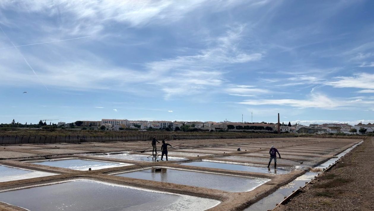 “Cabaz do Mar” project returns with visit to the Tavira salt flats