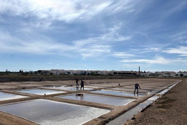 “Cabaz do Mar” project returns with visit to the Tavira salt flats