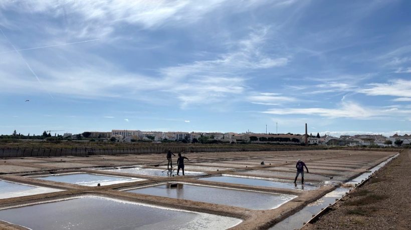 “Cabaz do Mar” project returns with visit to the Tavira salt flats