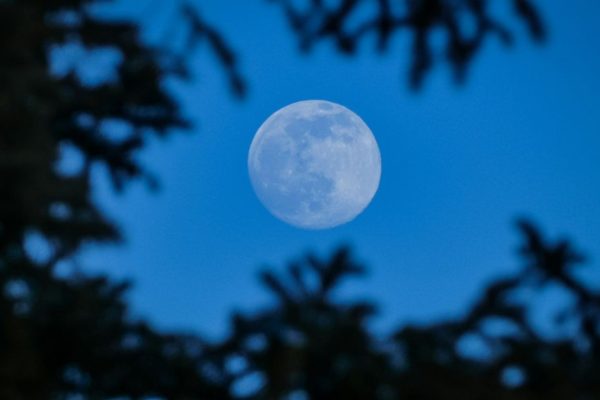Weekly Horoscope May 25–31, 2026. Blue Moon in Sagittarius turns things upside down for all signs