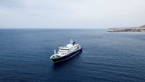 Hantavirus: Global alert for 'Andean virus' - From Argentina to the world on MV Hondius